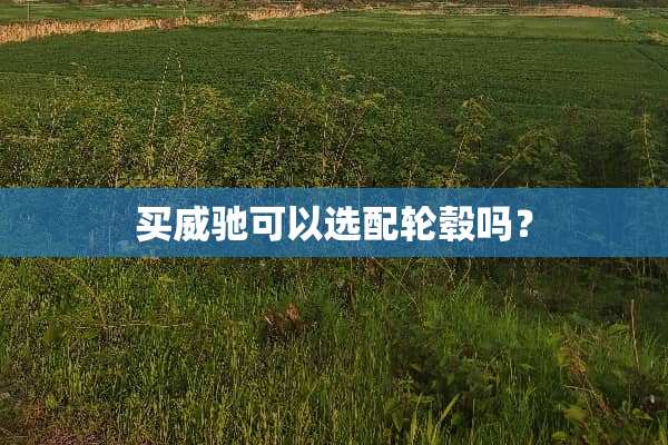 买威驰可以选配轮毂吗？