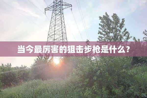 当今最厉害的**步*是什么？