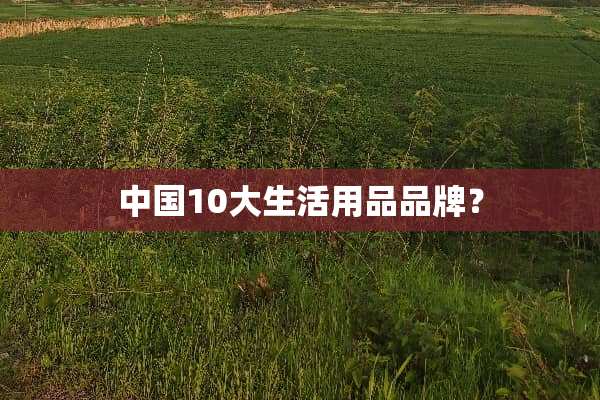 中国10大生活用品品牌？