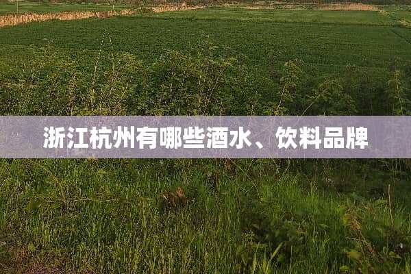浙江杭州有哪些酒水、饮料品牌