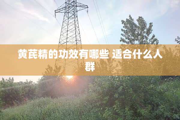 黄芪精的功效有哪些 适合什么人群