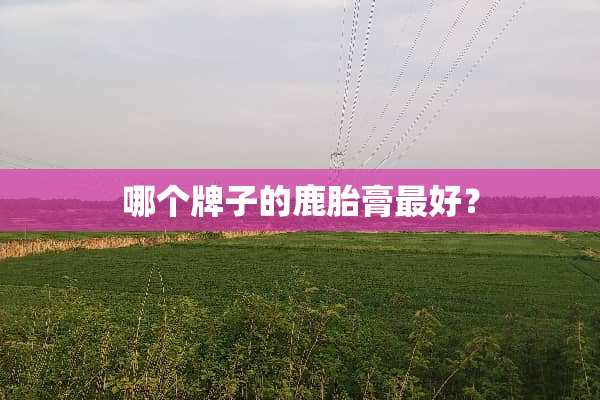 哪个牌子的鹿胎膏最好？