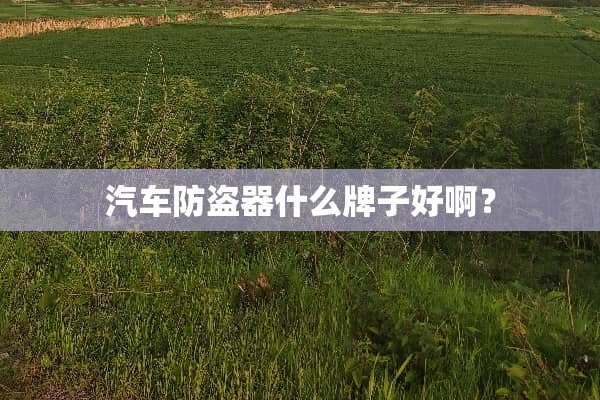汽车防盗器什么牌子好啊？