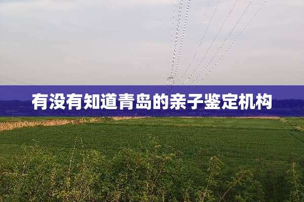 有没有知道青岛的亲子鉴定机构