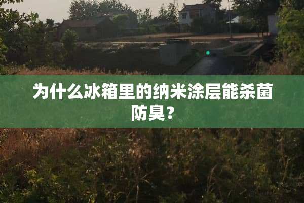 为什么冰箱里的纳米涂层能杀菌防臭？