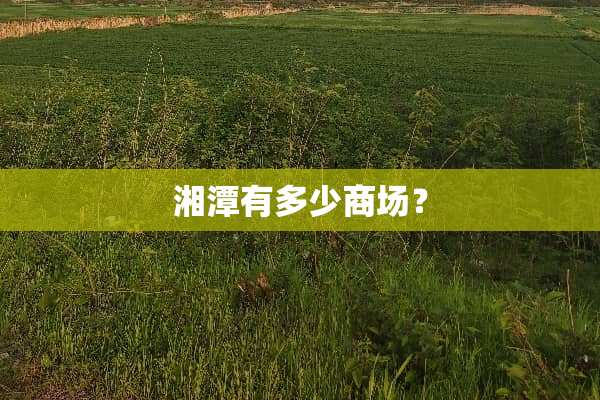 湘潭有多少商场？