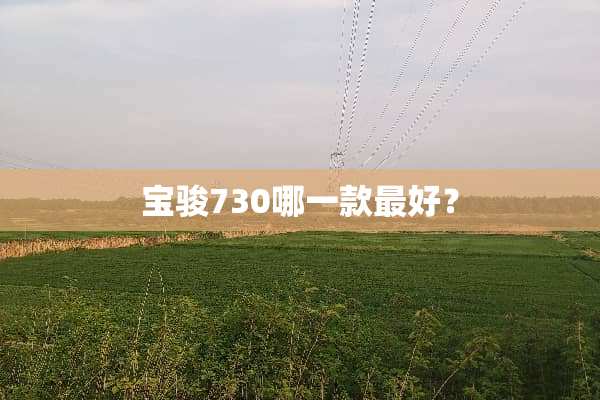 宝骏730哪一款最好？