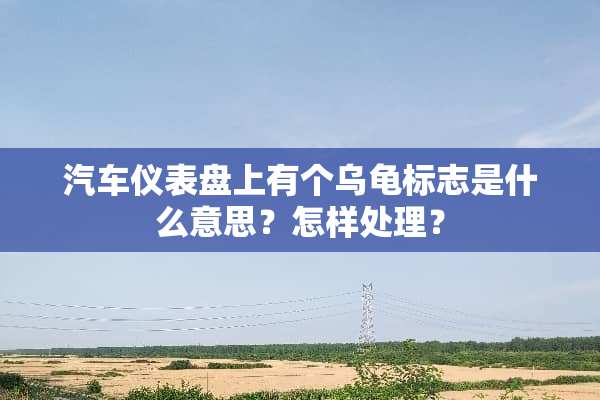 汽车仪表盘上有个乌龟标志是什么意思？怎样处理？