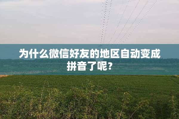 为什么微信好友的地区自动变成拼音了呢？
