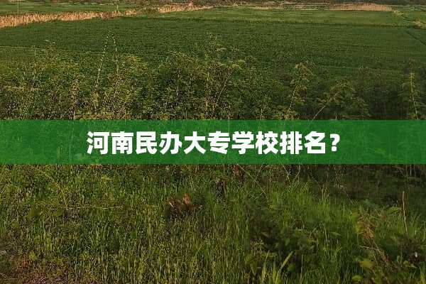河南民办大专学校排名？
