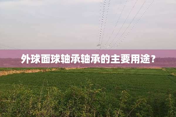 外球面球轴承轴承的主要用途？