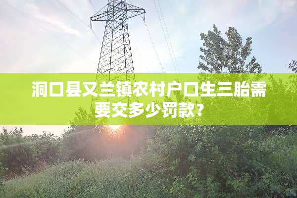 洞口县又兰镇农村户口生三胎需要交多少罚款？