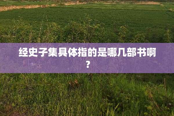 经史子集具体指的是哪几部书啊？