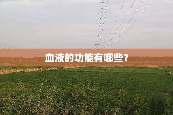 血液的功能有哪些？