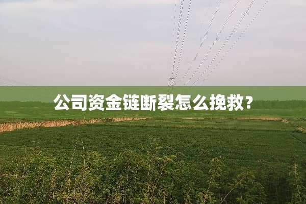 公司资金链断裂怎么挽救？