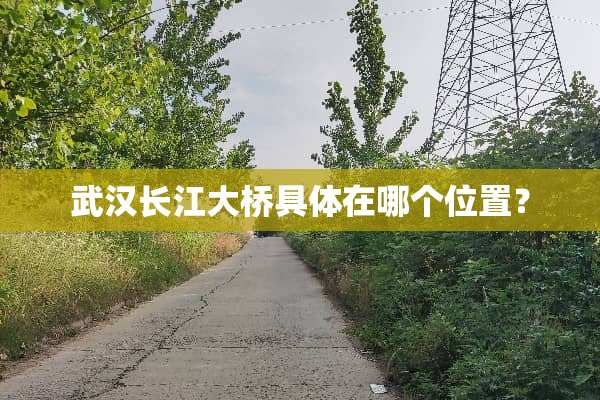 武汉长江大桥具体在哪个位置？