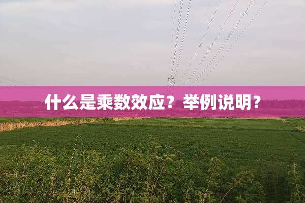 什么是乘数效应？举例说明？