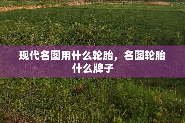 现代名图用什么轮胎，名图轮胎什么牌子
