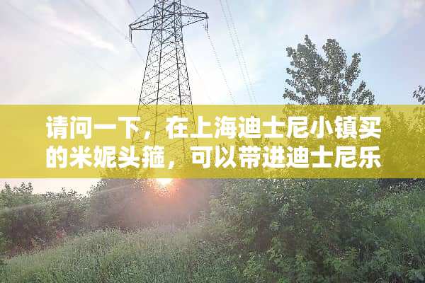请问一下，在上海迪士尼小镇买的米妮头箍，可以带进迪士尼乐园吗？有