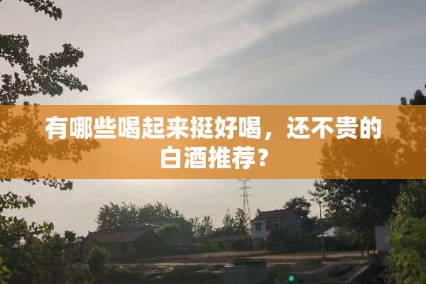 有哪些喝起来挺好喝，还不贵的白酒推荐？