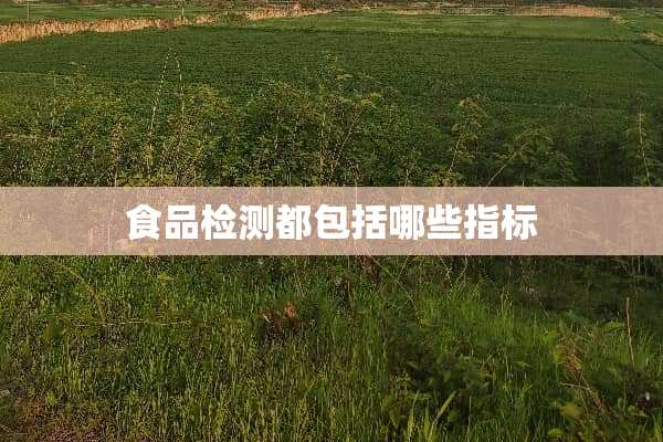 食品检测都包括哪些指标