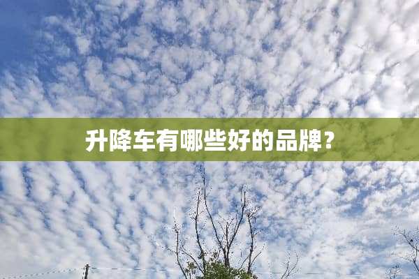 升降车有哪些好的品牌？