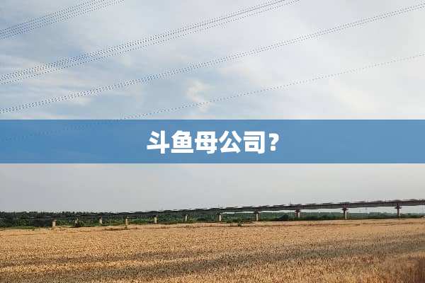 斗鱼母公司？