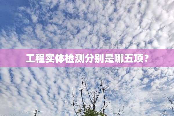 工程实体检测分别是哪五项？