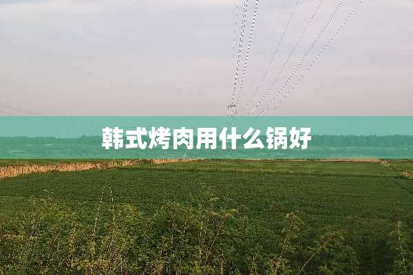 韩式烤肉用什么锅好
