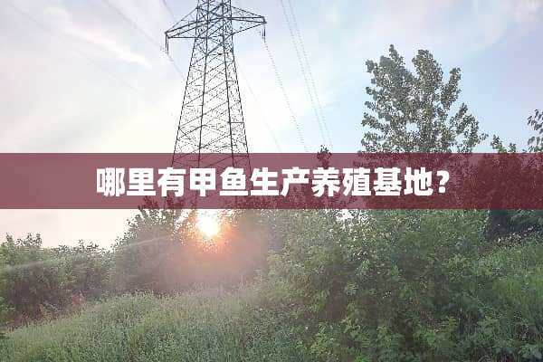 哪里有甲鱼生产养殖基地？