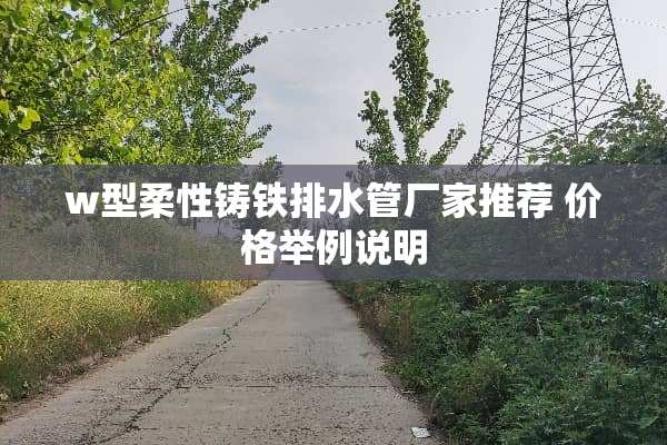 w型柔性铸铁排水管厂家推荐 价格举例说明