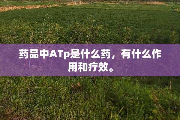 药品中ATp是什么药，有什么作用和疗效。