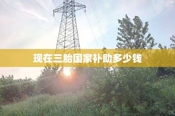 现在三胎国家补助多少钱