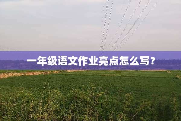 一年级语文作业亮点怎么写？
