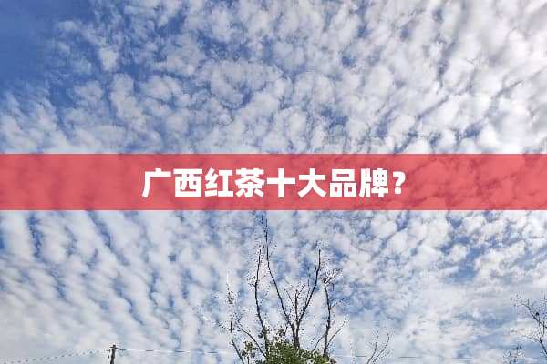 广西红茶十大品牌？