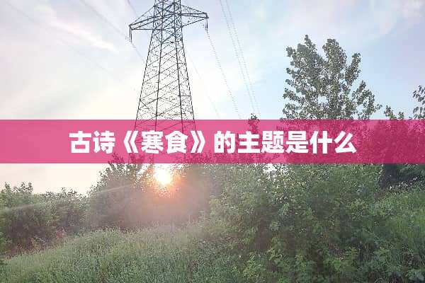 古诗《寒食》的主题是什么
