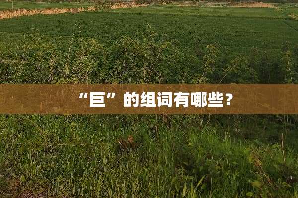 “巨”的组词有哪些？