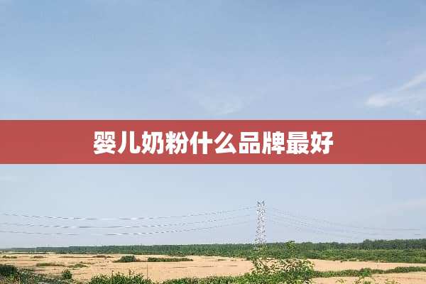 婴儿奶粉什么品牌最好