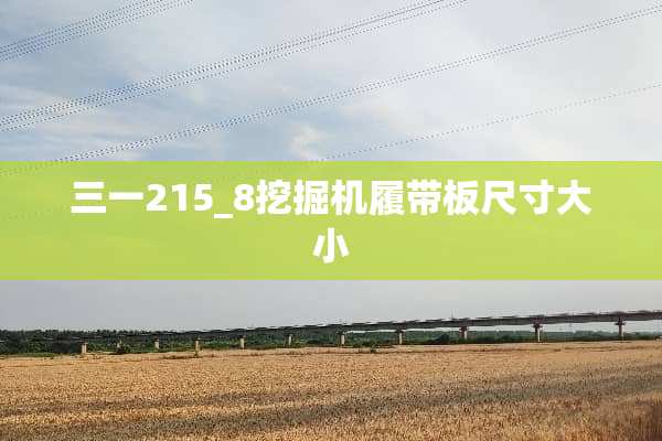 三一215_8挖掘机履带板尺寸大小