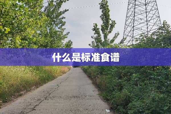 什么是标准食谱