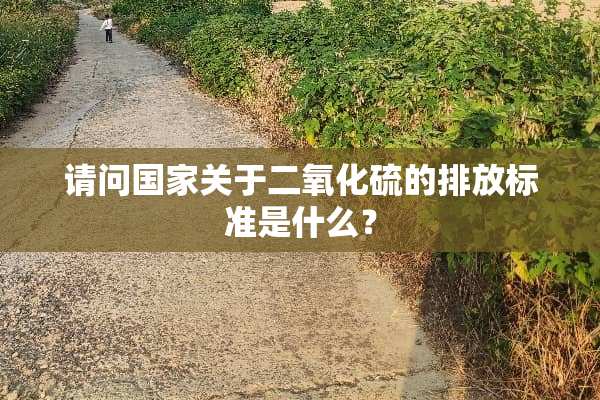 请问国家关于二**硫的排放标准是什么？