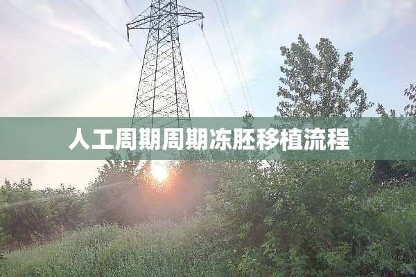 人工周期周期冻胚移植流程