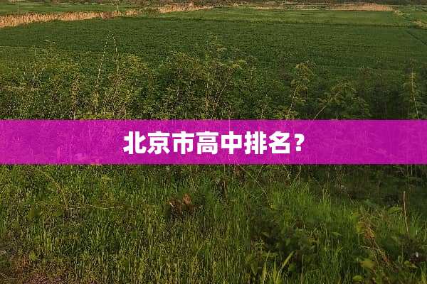 北京市高中排名？
