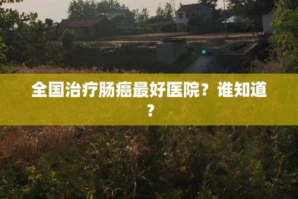 全国治疗肠癌最好医院？谁知道？
