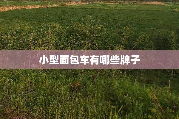 小型面包车有哪些牌子