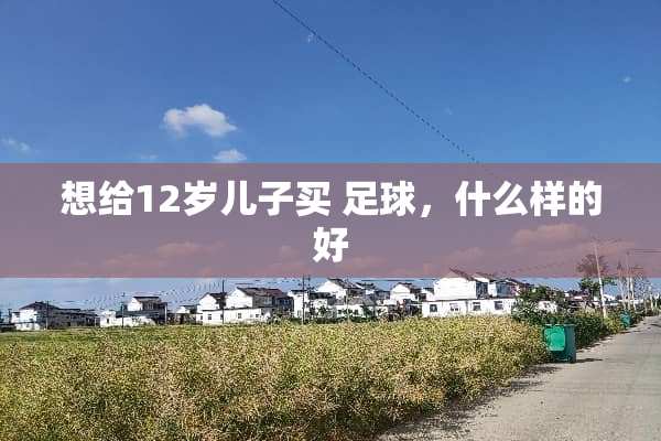 想给12岁儿子买 **，什么样的好