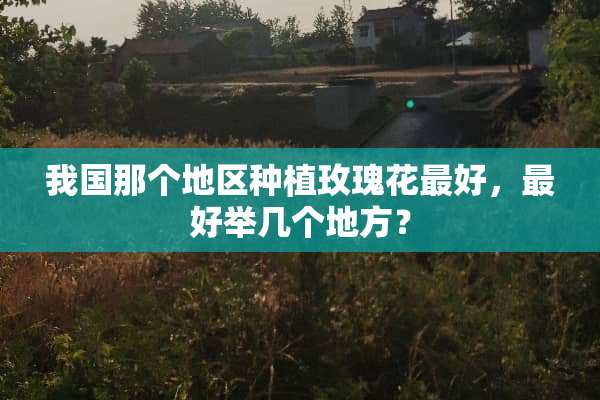 我国那个地区种植玫瑰花最好，最好举几个地方？