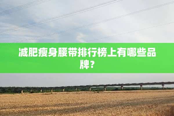 减肥瘦身腰带排行榜上有哪些品牌？