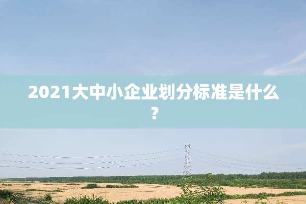 2021大中小企业划分标准是什么？
