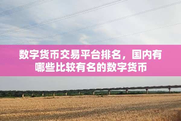 数字货币交易平台排名，国内有哪些比较有名的数字货币